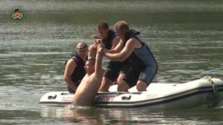 Vízből mentési oktatóvideó _ BUDAPESTI TŰZOLTÓK